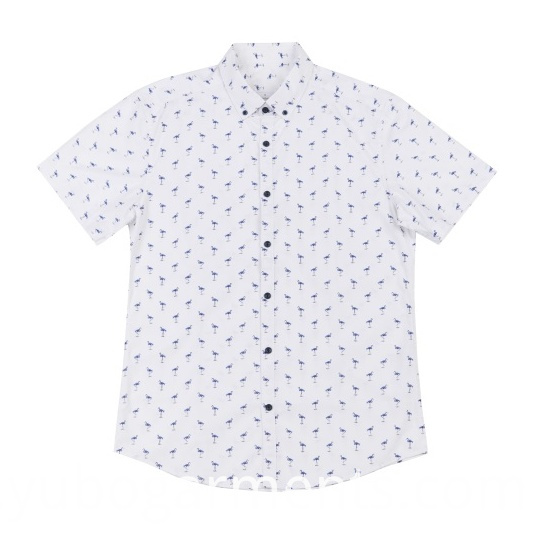 Mens cotton shirts Mens cotton shirts